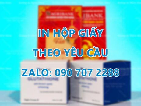 In hộp giấy theo yêu cầu