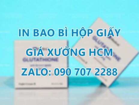 In bao bì hộp giấy giá xưởng