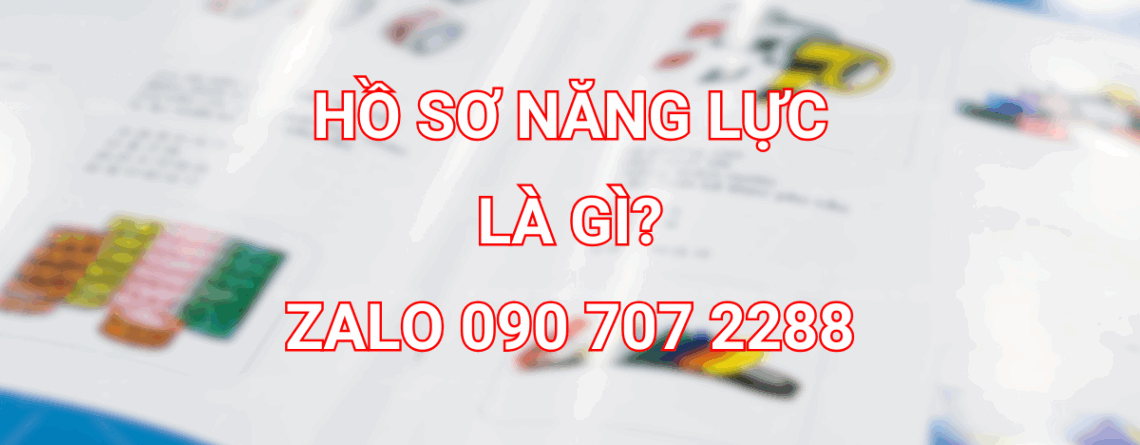 Hồ sơ năng lực công ty là gì?