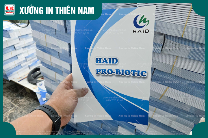 Thiết kế hồ sơ năng lực doanh nghiệp